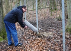 2016-03 WR Interview mit Wildschweinen